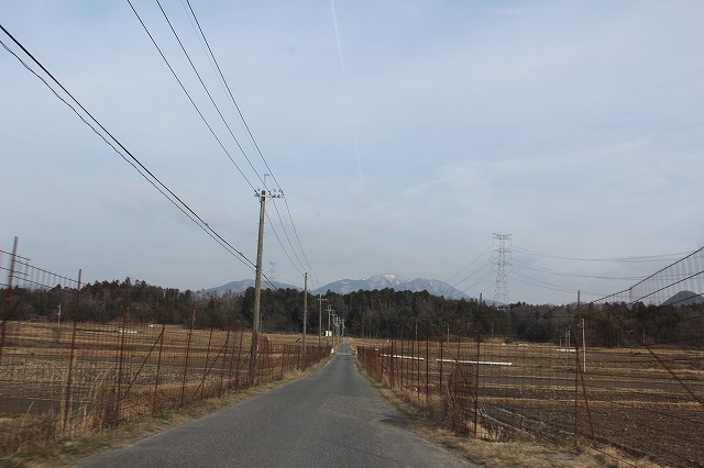 陸の孤島