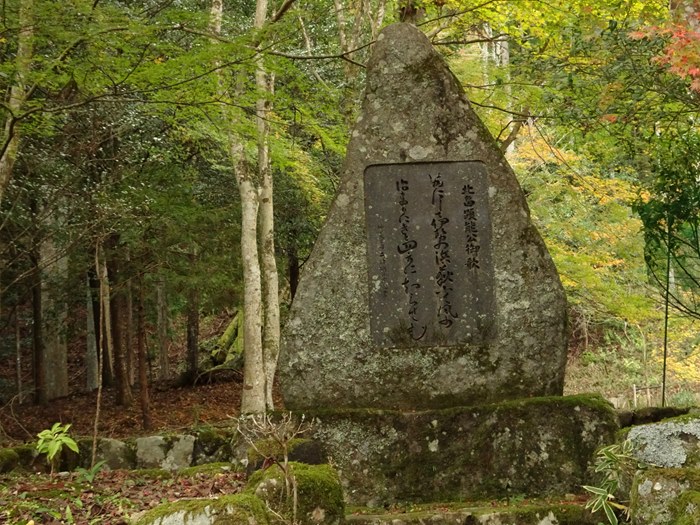 DSC06030_R.JPG