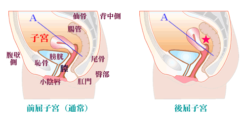 ピルを飲むぞ Body And Mind 離婚の準備ができてない 楽天ブログ