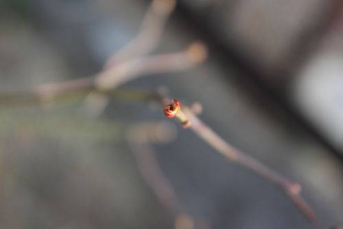 2015031003.JPG