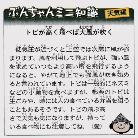 45トビが高く飛べば2.jpg