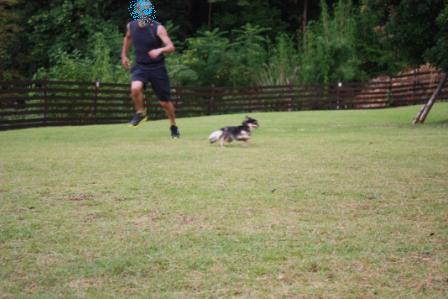 IMG_7375.JPG