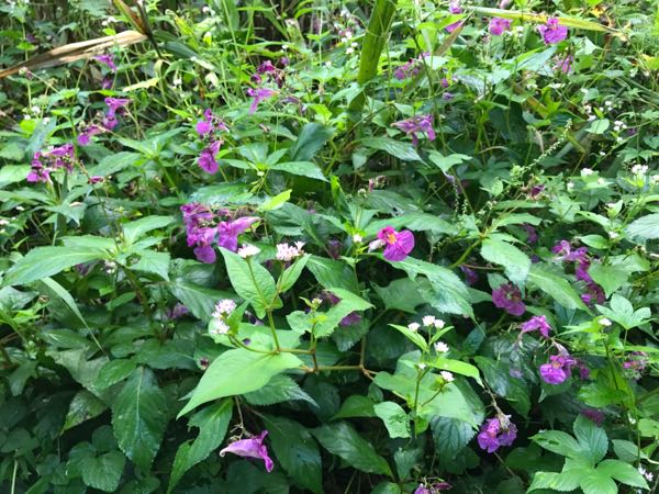rblog-20170929122708-01.jpg