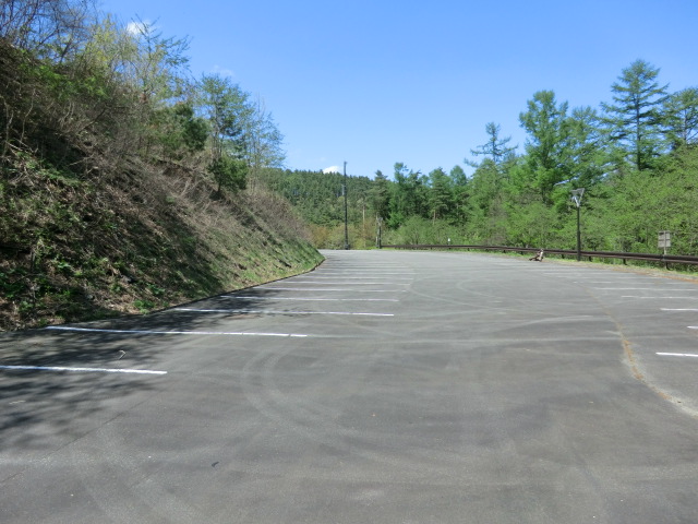 CIMG7167.JPG