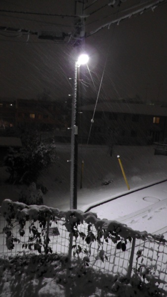 電柱　着雪　積雪