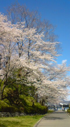 20120406140046.jpg