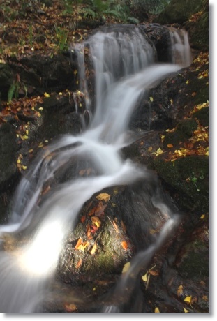 白山比メ神社-11 琵琶滝-2 13.11.27
