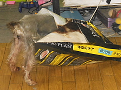 conv0882.JPG