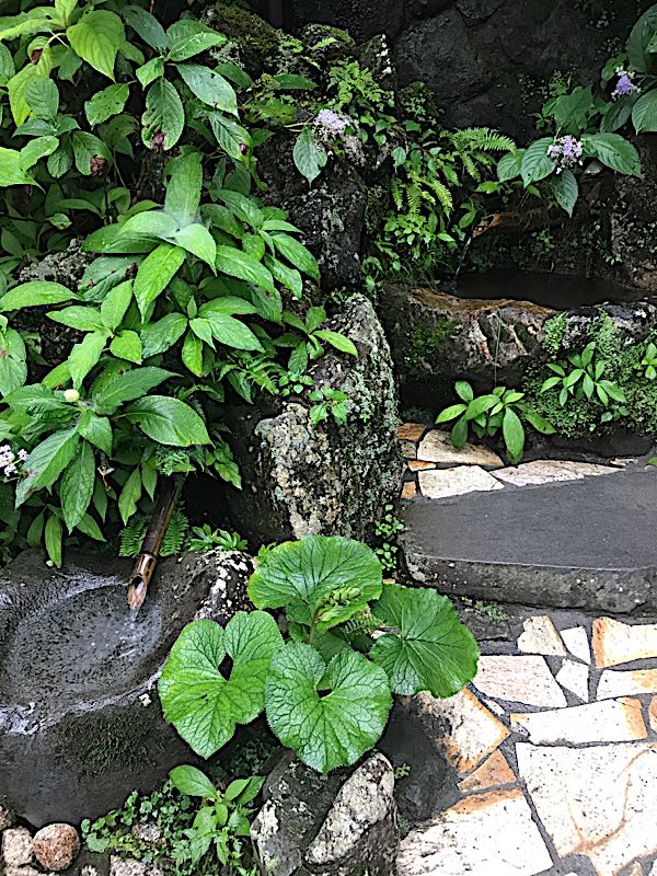 rblog-20170816195657-01.jpg