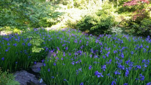 rblog-20160505205202-08.jpg