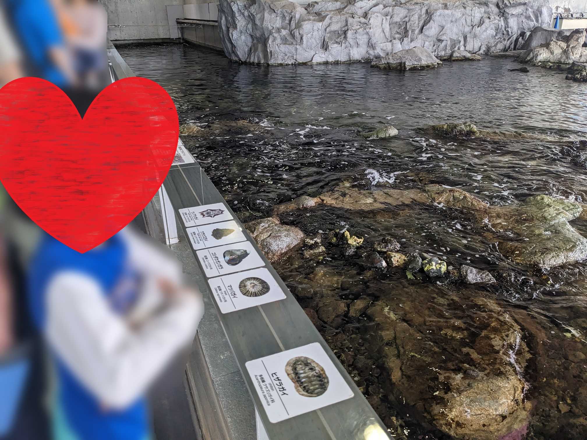 幼児と葛西臨海水族園