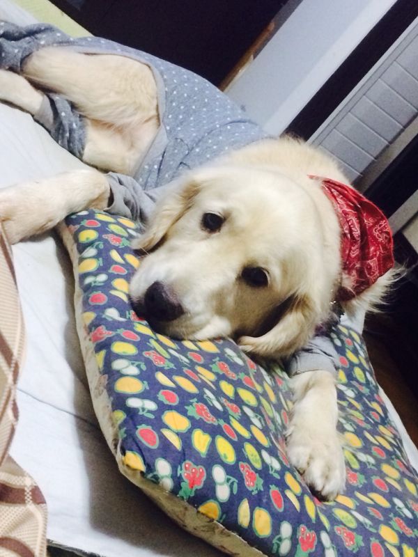 rblog-20131231203210-01.jpg