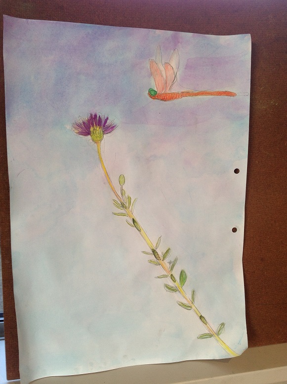 2015-05-02 16.51.012.jpg