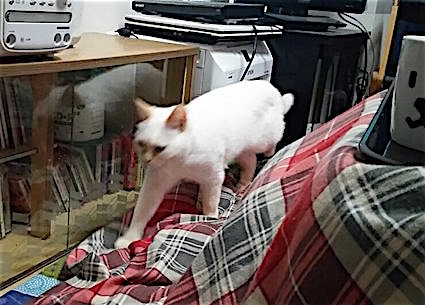 20160118215747_p.jpg