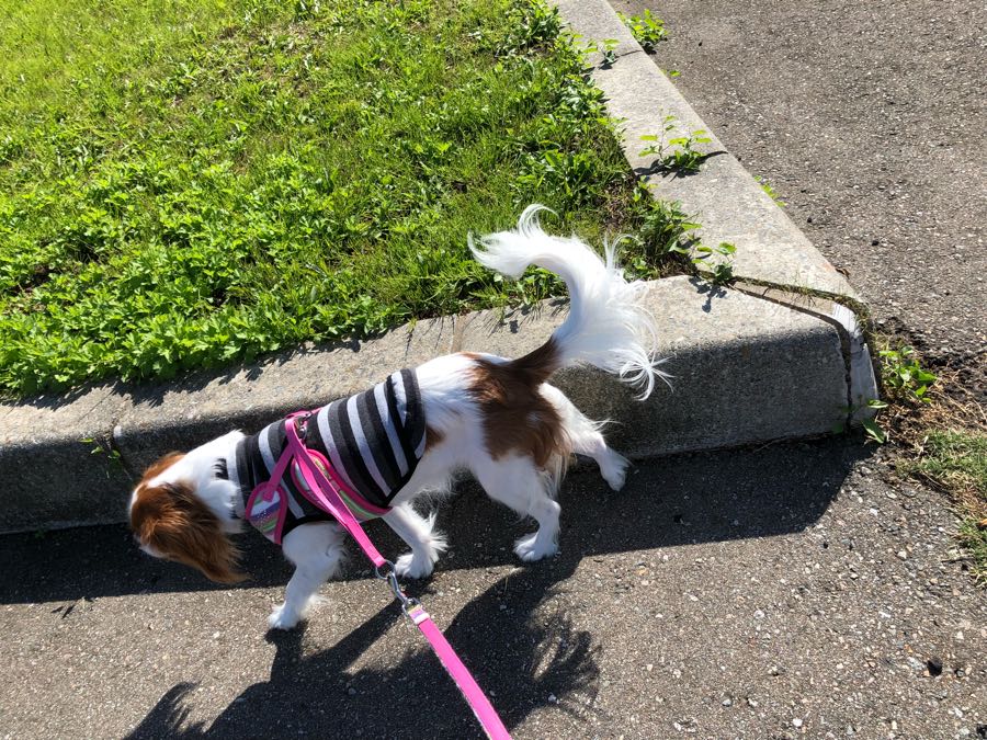 rblog-20181022121920-07.jpg