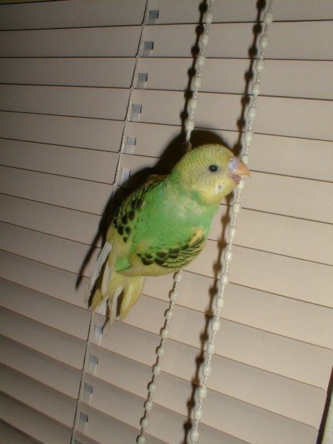 PIC00010.JPG