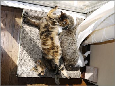 全然聞いてない