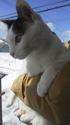 2014031211380000.jpg