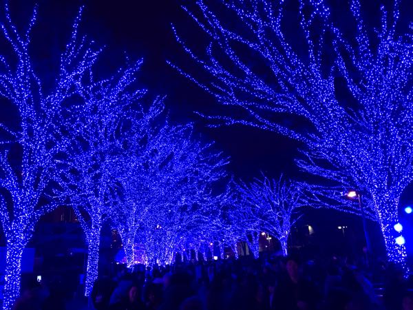 rblog-20181222224300-00.jpg