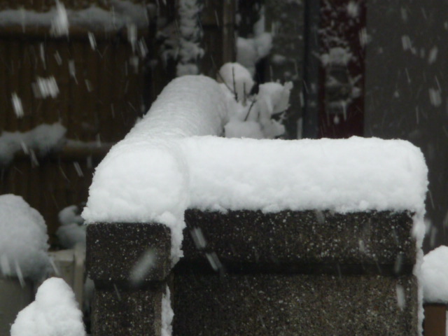 344 雪景色