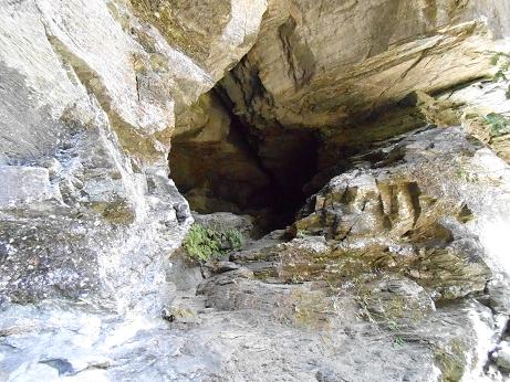 DSCN0781.jpg