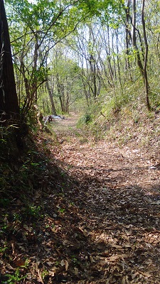 山道３