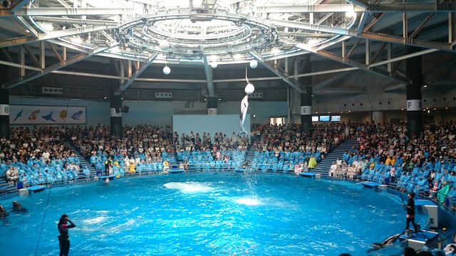 2015-08-23 10.39.42.jpg