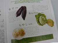 P1020704_1