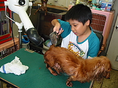 conv0250.JPG