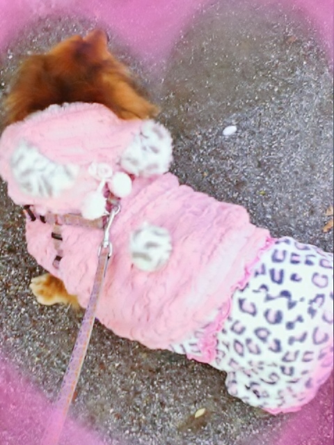 CUNPIC_20141227_170713.jpg