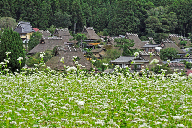 美山６