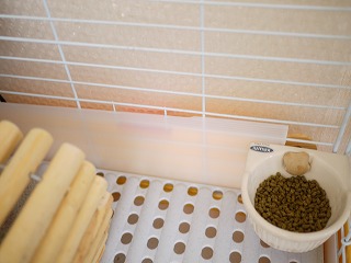 P1060093.jpg
