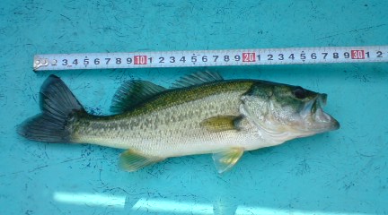 080912_0912~01.JPG