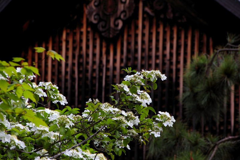 唐招提寺_2-3.jpg