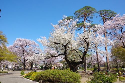 井の頭自然文化園