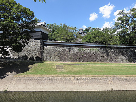 IMG_4728.jpg