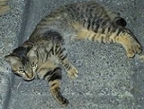 5DA_4770-20.jpg