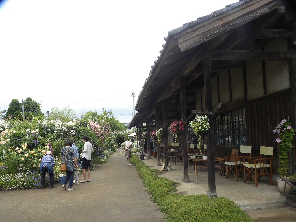 １日目 最初は二宮家のバラ園 新潟県北蒲原郡聖籠町蓮野 花に癒されて 楽天ブログ