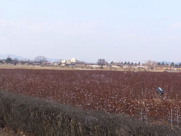 rblog-20150201210800-04.jpg