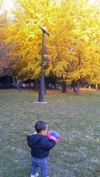 21037872_2025333040_147large.jpg