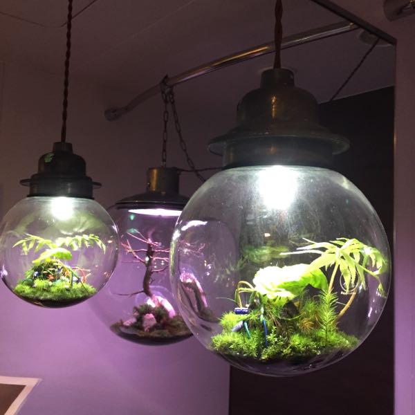 rblog-20150706071216-01.jpg