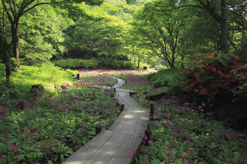 六甲高山植物園_004.jpg