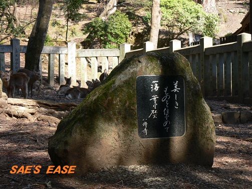 東大寺 手向山八幡宮 奈良 奈良市 Sae S Ease 楽天ブログ