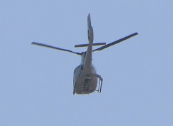 IMG_2811-8.jpg