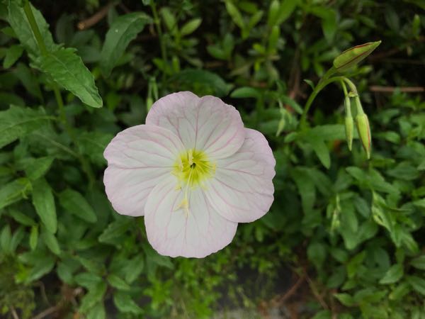 rblog-20180430174801-01.jpg