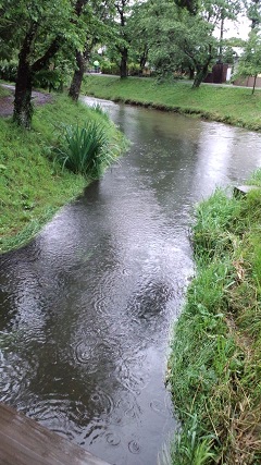 忍野