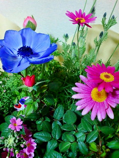 20120205213525.jpg