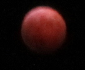皆既月食５.jpg