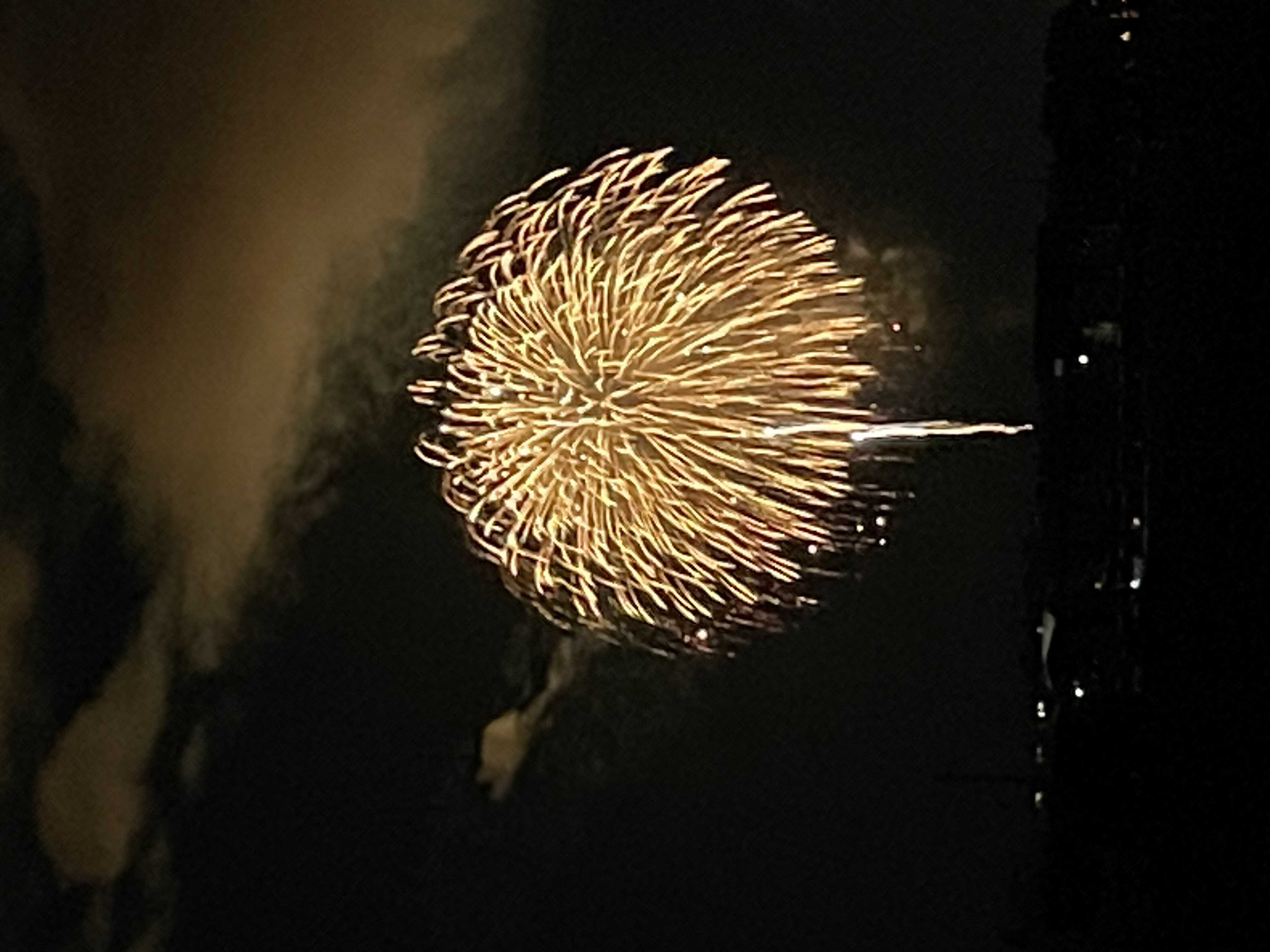 片貝花火の夜空