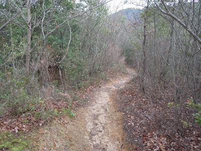 DSCN2790s.jpg